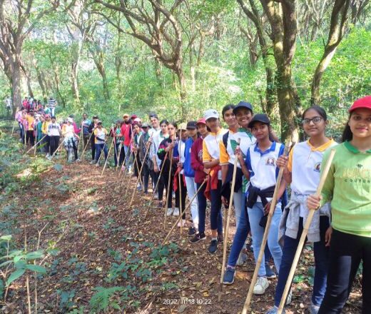 Trips & Industrial Visits